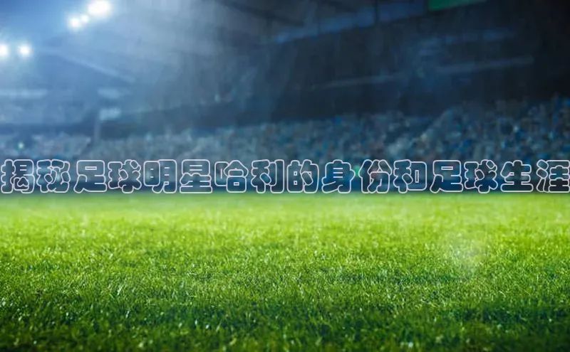 星欧网页登录入口百度健康揭秘足球明星哈利的身份和足球生涯