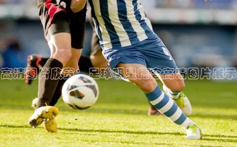 星欧app官方下载百度手机输入法高清图片欣赏：足球明星德容高清图片展示