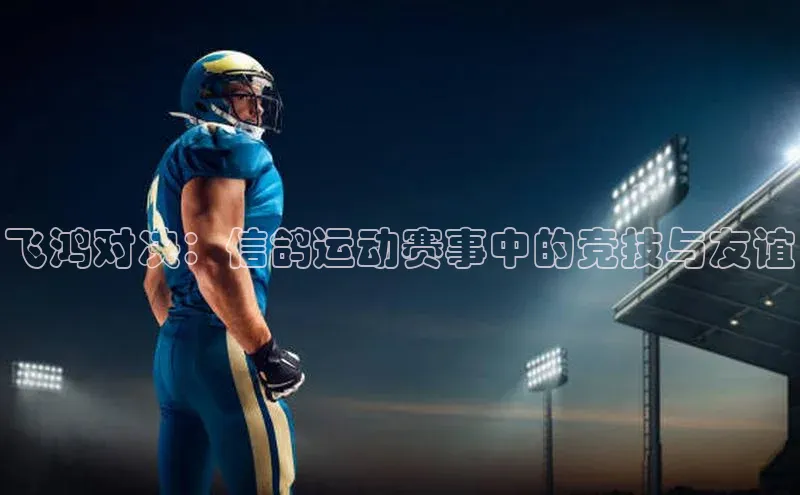 星欧娱乐下载官网元隆雅图飞鸿对决：信鸽运动赛事中的竞技与友谊