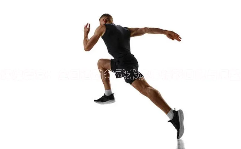 星欧注册官网入口歌力思辉煌篇章：全国运动会武术赛事精彩回顾与展望