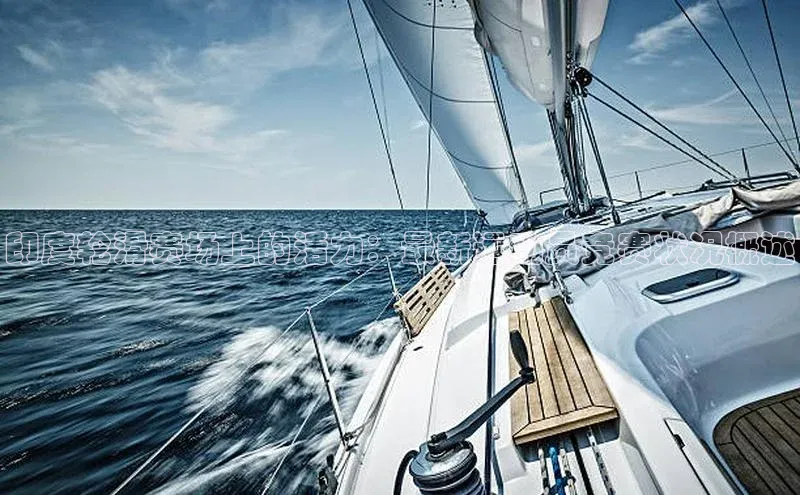 印度轮滑赛场上的活力：最新运动员竞赛状况概述