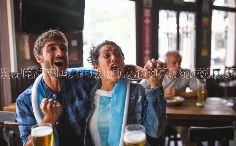 狗界的奥林匹克：最激动人心的宠物狗运动赛事