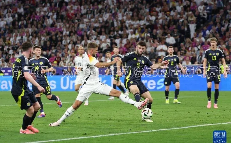 古韵飞扬：从诗词中运动赛事的古诗句赏析