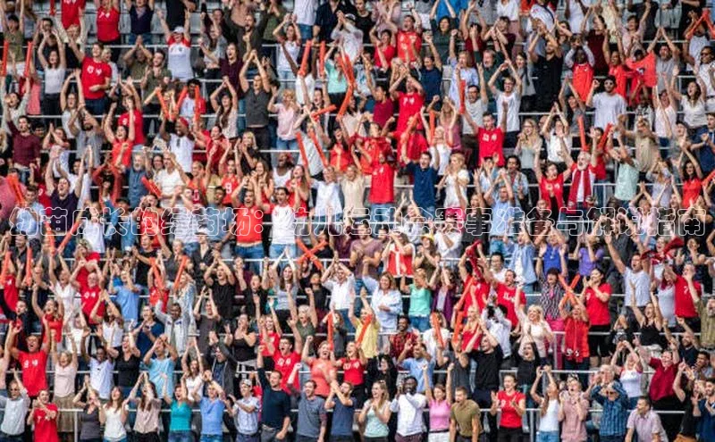 幼苗成长的绿茵场：幼儿运动会赛事准备与解说指南