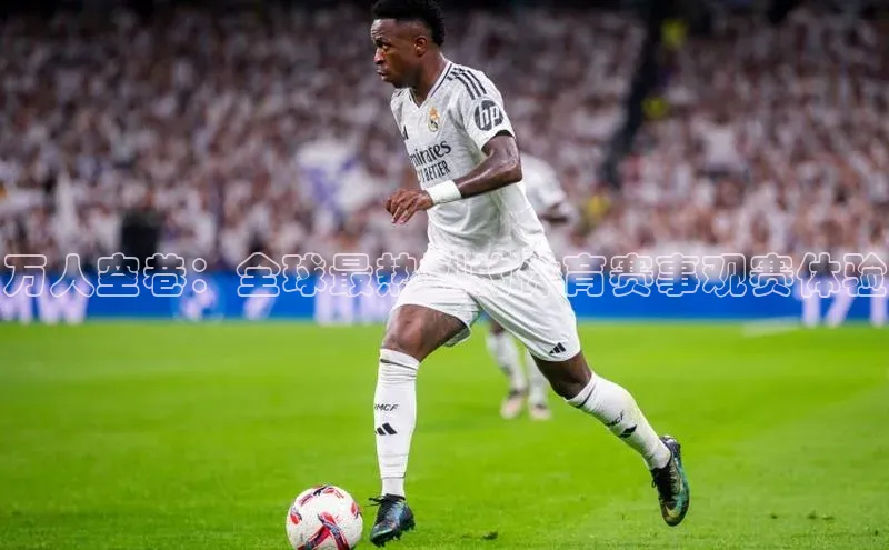 万人空巷：全球最热烈的体育赛事观赛体验