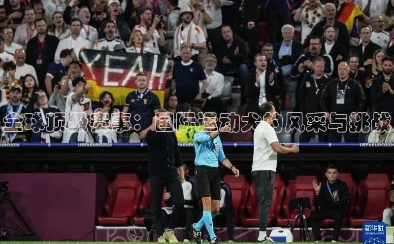 全球顶级赛事：国际运动犬的风采与挑战