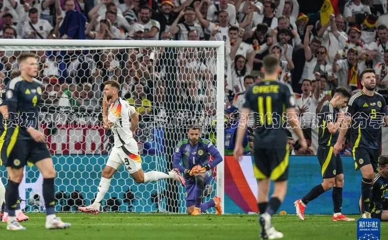 赛场内外的体验：一场运动会赛事的深度观感分享