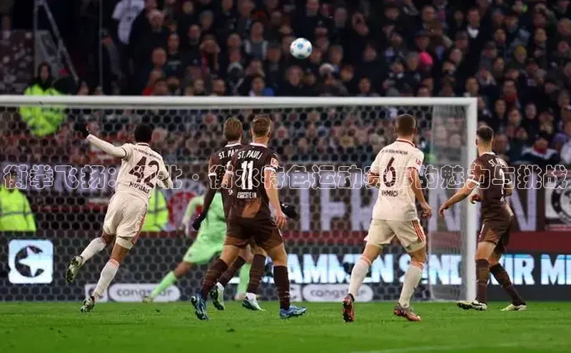 衡拳飞扬：河北·衡水特色运动赛事的魅力与挑战