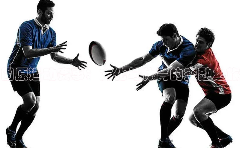 固原运动赛事：文化与体育的交融之旅