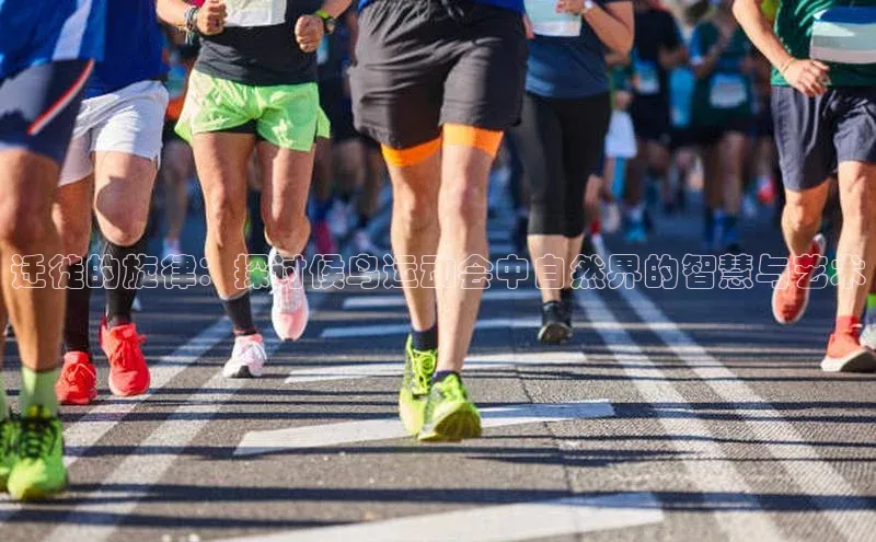 星欧平台免费下载app