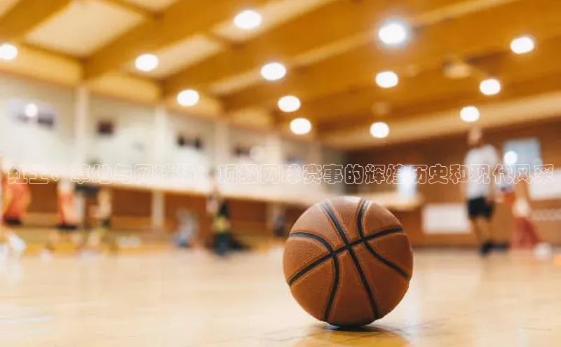 星欧平台登录入口