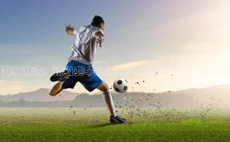 星欧平台点登录入口