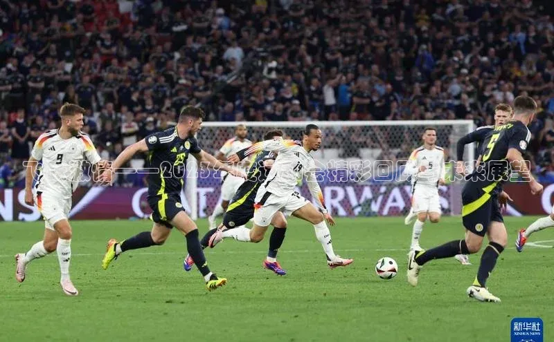 飞跃激情——2023年度运动会精彩回顾与未来展望