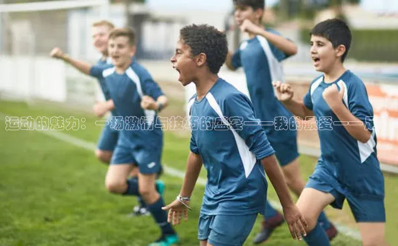 运动的魅力：一场激情与技巧的盛宴——我的最爱——足球