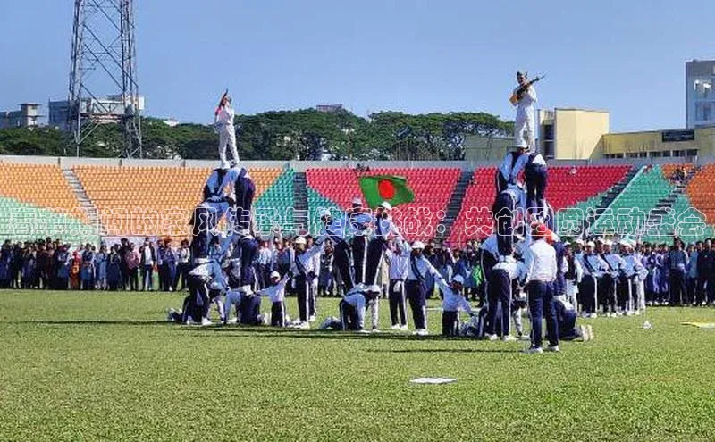 春节期间的家风传承与健康挑战：共创团圆运动盛会