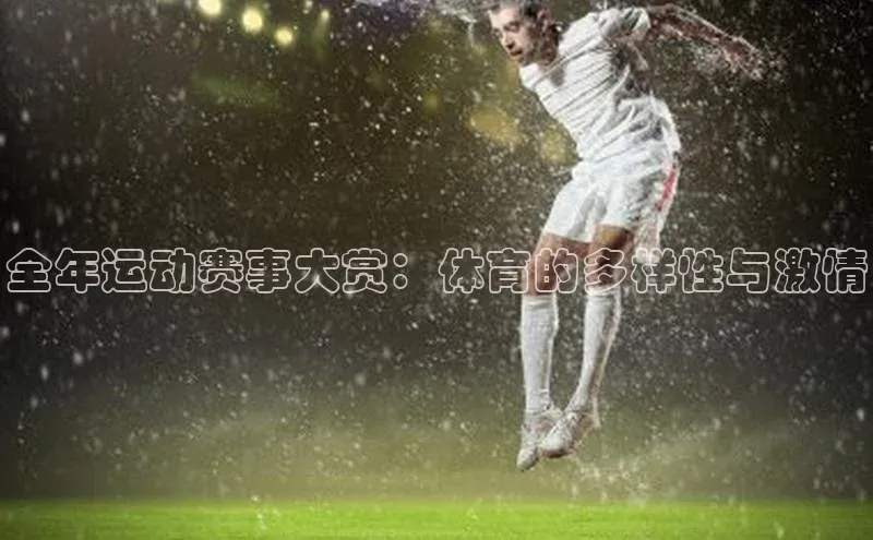 全年运动赛事大赏：体育的多样性与激情